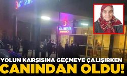 Yolun karşısına geçmeye çalışırken canından oldu!