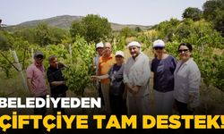 Yunusemre'de organik bağcılığa tam destek!