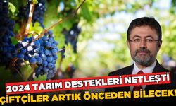 Tarım desteklerinde yeni dönem başlıyor