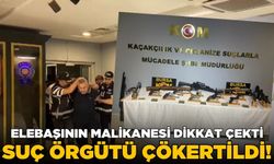 Organize suç örgütü çökertildi! Havuzlu malikaneden çıkanlar şaşırttı