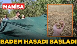 Selendi'de hasat zamanı