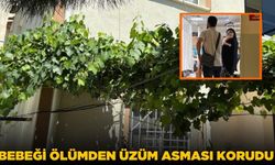 Mucize kurtuluş! Bebek, üzüm asması sayesinde yaşama tutundu