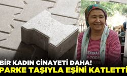 Sokak ortasında cinayet! Parke taşıyla eşini öldürdü