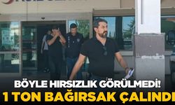 Girdikleri besihaneden 400 bin TL değerindeki 1 ton bağırsağı çaldılar