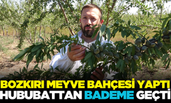 Bozkır olan tarlada şimdi badem yetişiyor