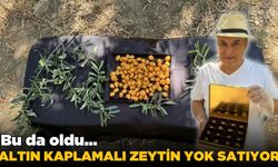 Lüksün yeni sembolü zeytin: 24 adeti 300 dolar!