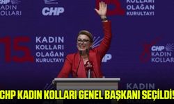 CHP Kadın Kolları Genel Başkanı Asu Kaya seçildi