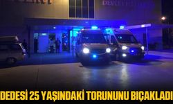 Dede torununu karnından bıçaklayarak ağır yaraladı