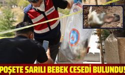 Poşete sarılı bebek cesedi bulundu!