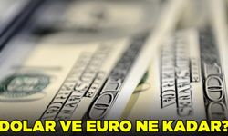 Dolar ve Euro bugün kaç TL?