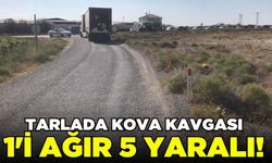 Domates tarlasında kavga: 1'i ağır 5 yaralı