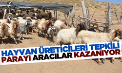 Hayvan üreticileri şikayetçi! Parayı aracı kazanıyor