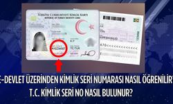 E-Devlet Üzerinden Kimlik Seri Numarası Nasıl Öğrenilir? T.C. Kimlik Seri No Nasıl Bulunur?