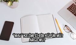 Mal Kelimesi Bir Küfür mü, Argo mu? Bir İnsana Mal Demek Ne Anlama Gelir?