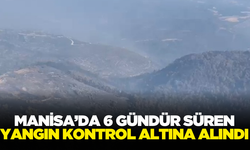 Manisa'daki orman yangını kontrol altına alındı