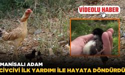 Manisalı adam kalp masajı ile civcivi hayata döndürdü