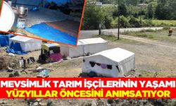 Mevsimlik işçiler çadırda yaşıyor