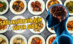 Beyine iyi gelen gıdalar nelerdir?