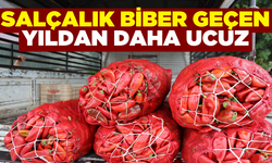 Salçalık biberde fiyat geçen yılın aşağısında