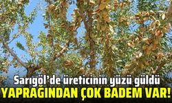 Sarıgöl'de badem ağaçları üreticinin yüzünü güldürdü!