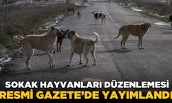 Sokak hayvanları için tarihi adım! Resmi Gazete'de yayımlandı