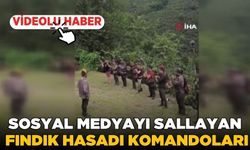 Fındık hasadı komandoları, sosyal medyada büyük ilgi gördü