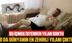 Su içene yılan bile dokunmaz hikayesi yalan oldu