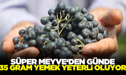 Süper meyve elle hasat ediliyor