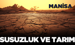 Susuzluk ve Kırkağaç tarımı