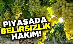 Üzüm piyasasında belirsizlik hakim