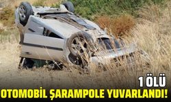 Otomobil şarampole yuvarlandı: 1 ölü