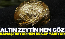 Altın zeytinin fiyatı cep yakıyor