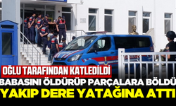 Babasını öldürüp parçalara böldü, yakıp dere yatağına attı