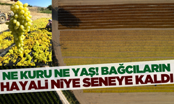 Çiftçinin hayalleri niye seneye kaldı!