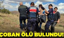 Hayvan otlatmaya giden çoban ölü bulundu