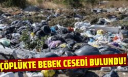 Çöplükte yeni doğmuş bebek cesedi bulundu