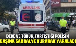 Dede ve torun tartıştığı polisi yaraladı!