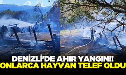 Denizli'de ahır yangını! Onlarca hayvan telef oldu