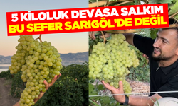 Devasa salkım görenleri şaşkınlığa uğrattı