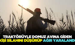 Domuz avlarken ağır yaralandı