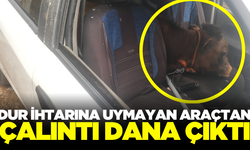 Dur ihtarına uymayan araçtan çalıntı dana çıktı