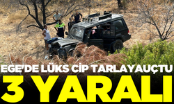 Ege'de lüks cip tarlaya uçtu: 3 yaralı