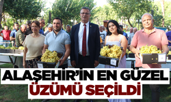 Festivalin en güzel üzümü seçildi