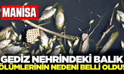 Gediz Nehrindeki balık ölümlerinin nedeni biyogaz çıkmadı