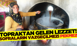 Hem sağlıklı hem lezzetli: Pekmezin topraktan başlayan yolculuğu