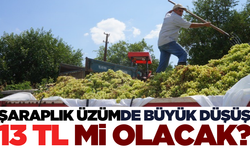 Iskarta üzüm 13 TL'ye mi düşüyor?