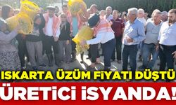 Iskarta üzüm fiyatları düştü üretici isyanda