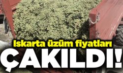 Iskarta üzüm fiyatları çakıldı