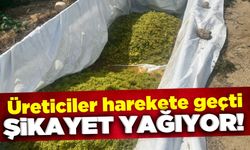 Iskarta üzüm fiyatlarındaki düşüş çiftçileri harekete geçirdi