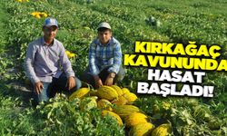 Kırkağaç'ta kavun hasadı başladı!